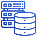 IT Project